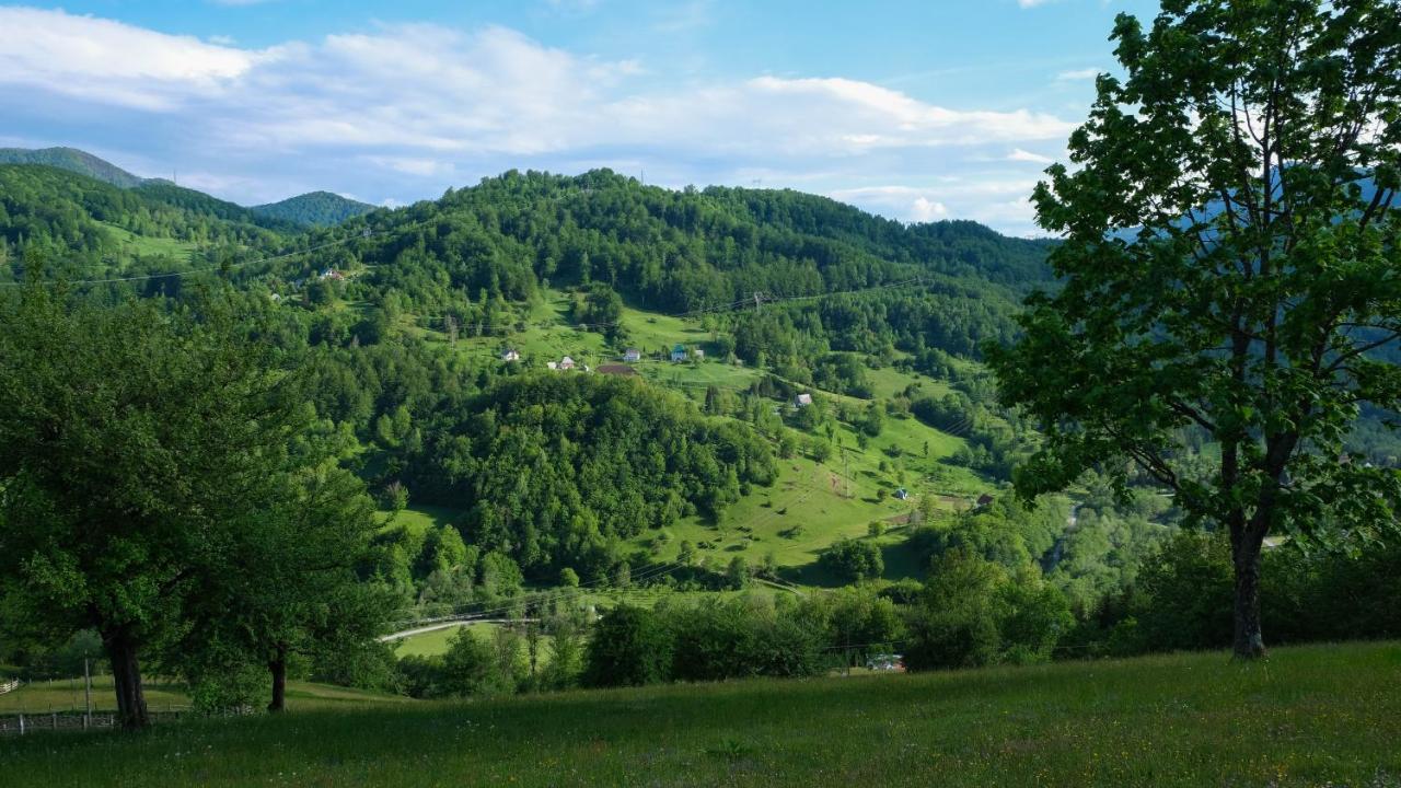 Fern Farm Eco * Mojkovac